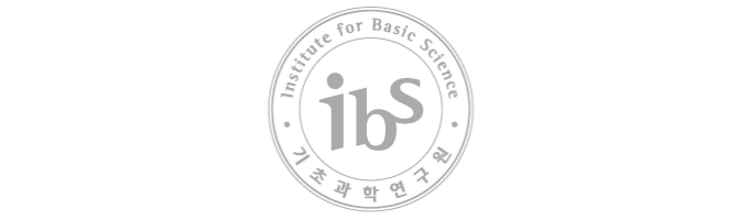 Logo of IBS, scaled